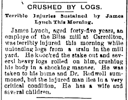 Newspaper clip from 1893 reporting the injury of a man named James Lynch. “CRUSHED BY LOGS ... Terrible Injuries Sustained by James Lynch This Morning,” The Saginaw [Michigan] Evening News, 27 January 1893, p. 5, col. 3; imaged, Newspapers.com (https://www.newspapers.com/image/1076656651/ : accessed 20 May 2025), search "James Lynch" in Saginaw County from 1870-1895.