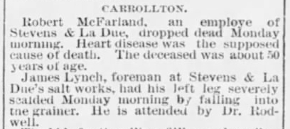 Newspaper excerpt from 1886 regarding an accident at Bill Mill in Saginaw, Michigan, regarding a man named James Lynch.