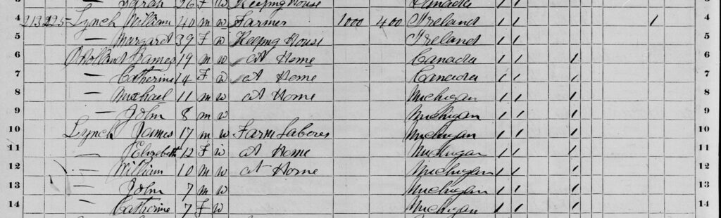 Black and white excerpt of an 1870 U.S. census document. Citation: United States (U.S.), 1870 Census, St. Clair, Michigan, population schedule, Columbus Township, page 30 (penned), lines 4-14, dwelling 213, family 225, William Lynch household; imaged, “United States, 1870, Census,” FamilySearch (www.familysearch.org/ark:/61903/3:1:S3HT-D4PS-93Q : accessed 15 May 2025) > Film no. 004273755, image 30 of 33.