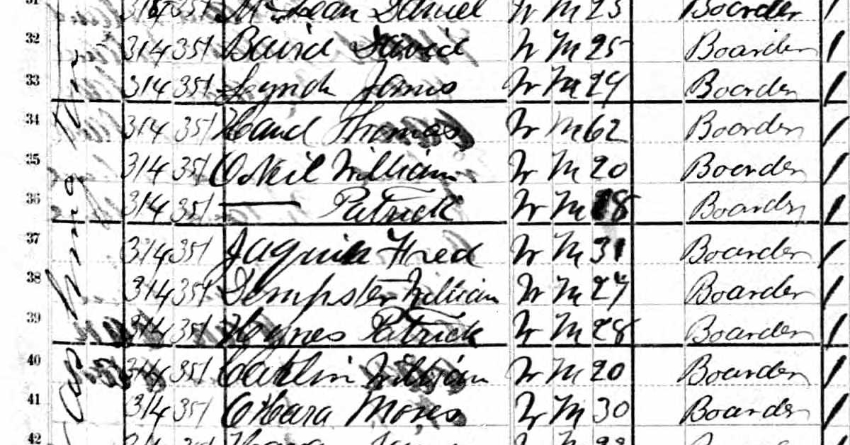 Excerpt from an 1880 U.S. census.