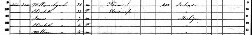 Excerpt from the 1960 U.S. census, highlighting the William Lynch household.