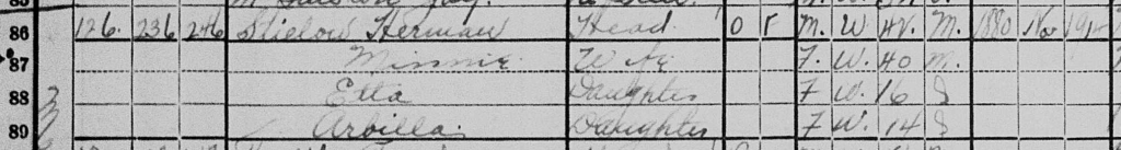 Excerpt from the 1920 U.S. Census showing the Herman Stielow household. 1920 U.S. Census, Saginaw County, Michigan, population schedule, City of Saginaw, Ward 19, Enumeration District 68, sheet 11B, lines 86-89, dwelling 236, family 246, Herman Stielow household.